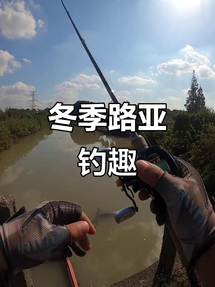冬天还能路亚(冬天还能路亚吗,都是哪些品种)