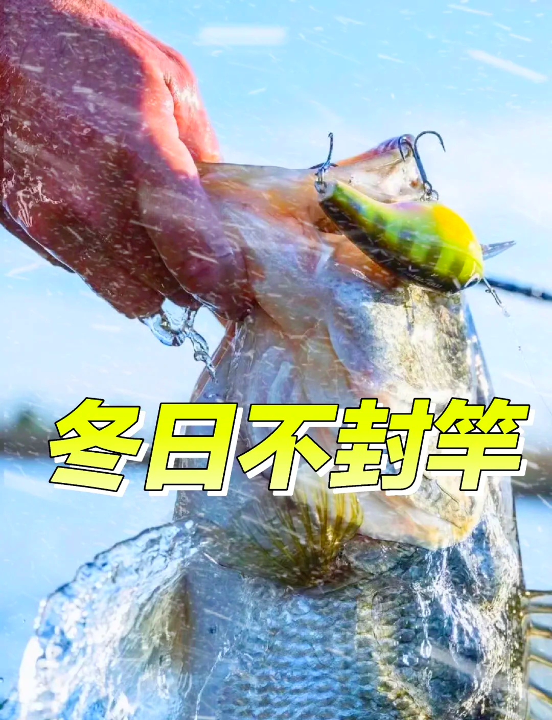 冬天还能路亚(冬天还能路亚吗,都是哪些品种)