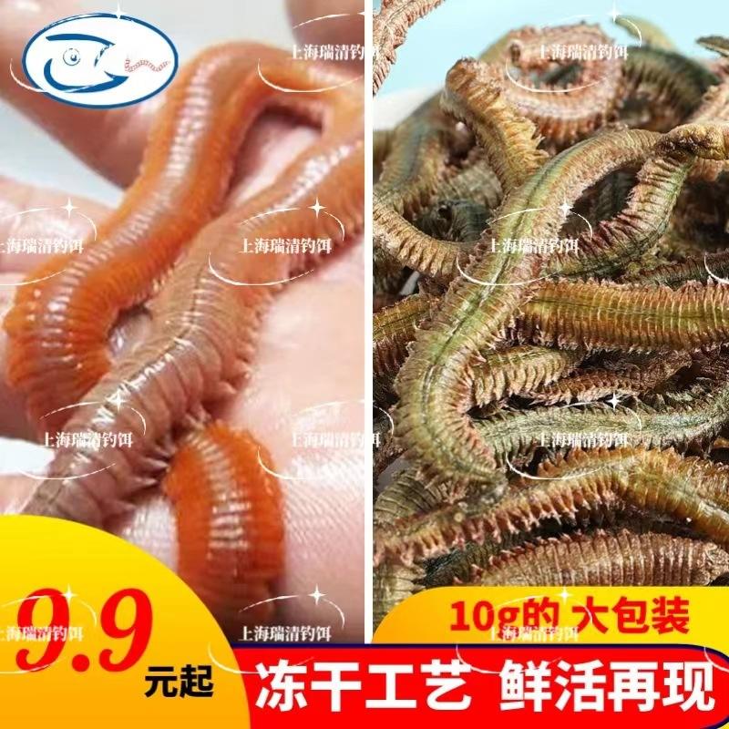 海钓用饵沙蚕(海钓用饵沙蚕好用吗)