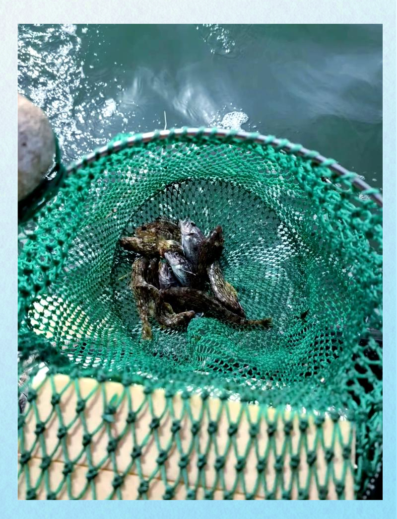 烟台海钓攻略(烟台海钓钓鱼地点)