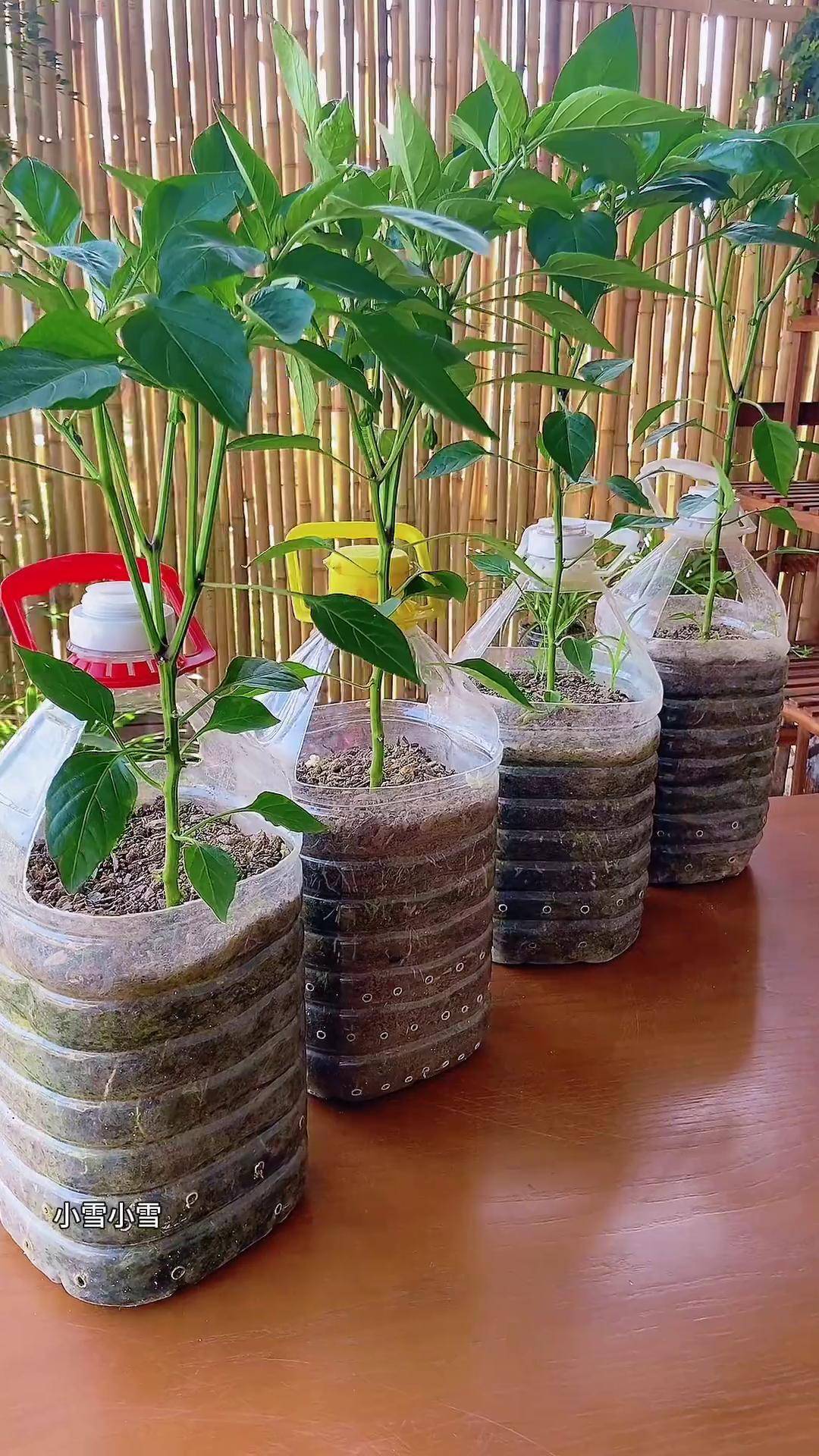 废物利用制做渔具(渔具批发货源在哪里找)