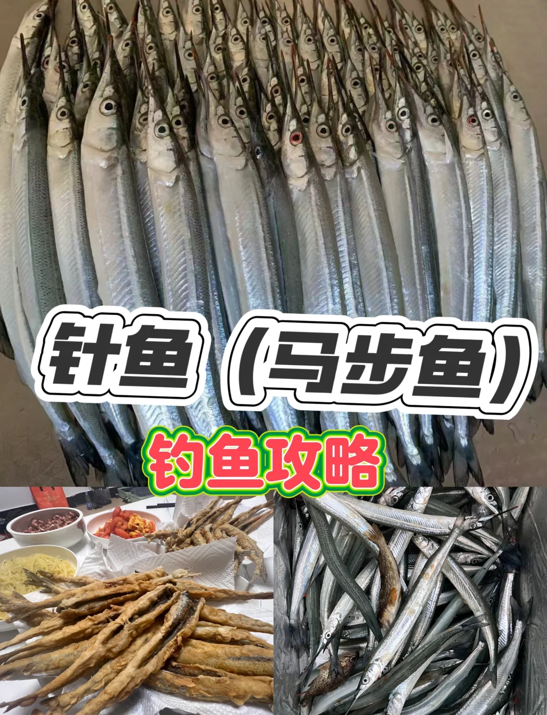 海钓诱鱼笼(海竿诱饵笼垂钓方法)