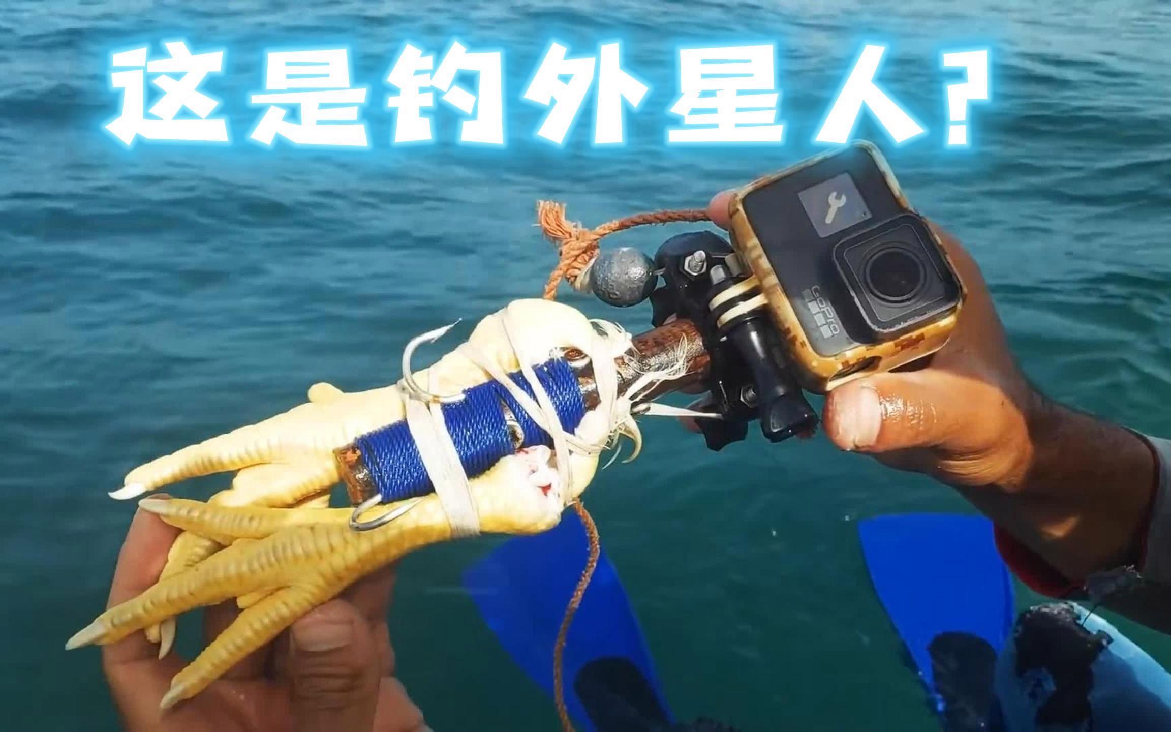 海钓知识教学视频(海钓知识教学视频教程)