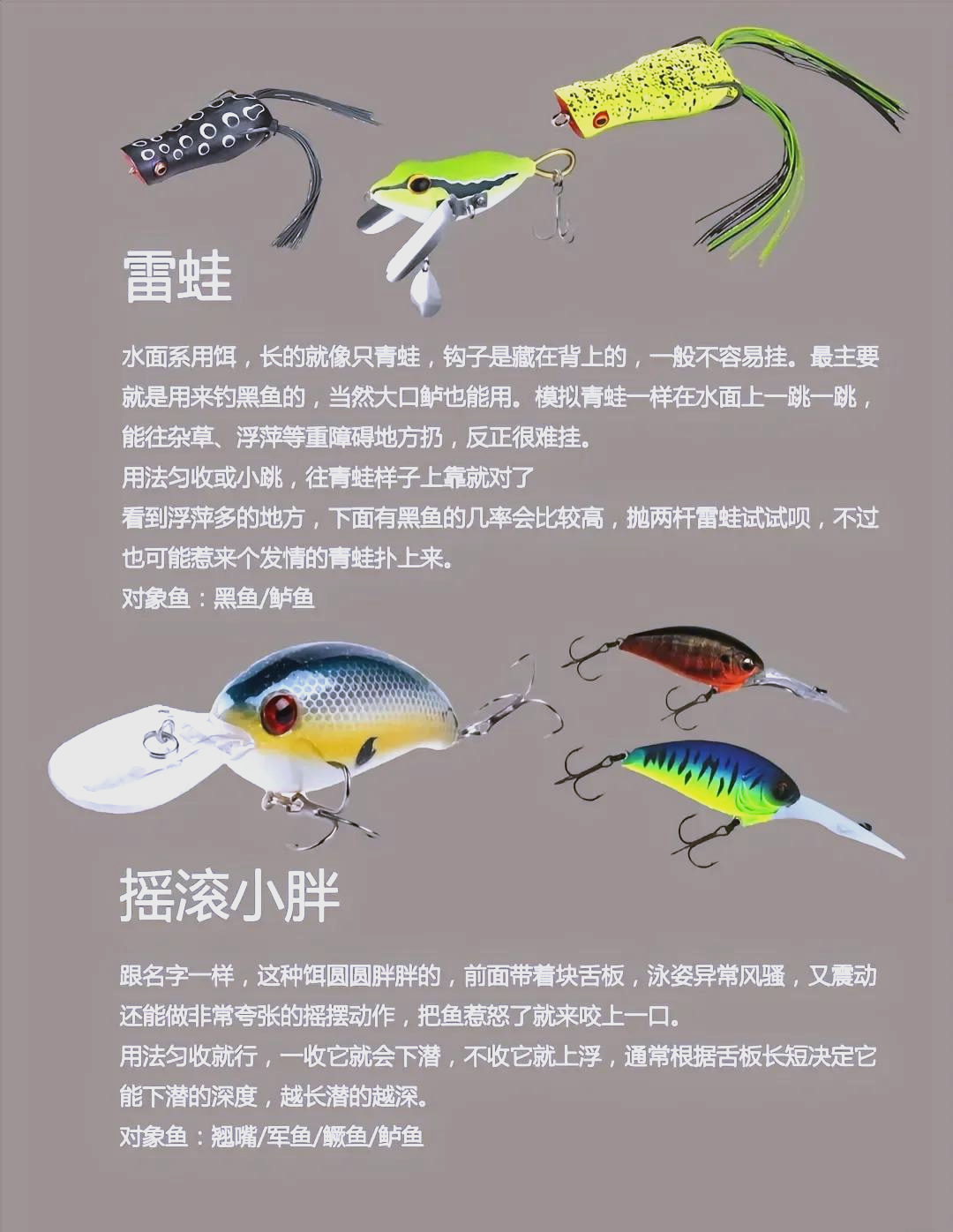 如何选购路亚饵(路亚饵怎么选择教学)