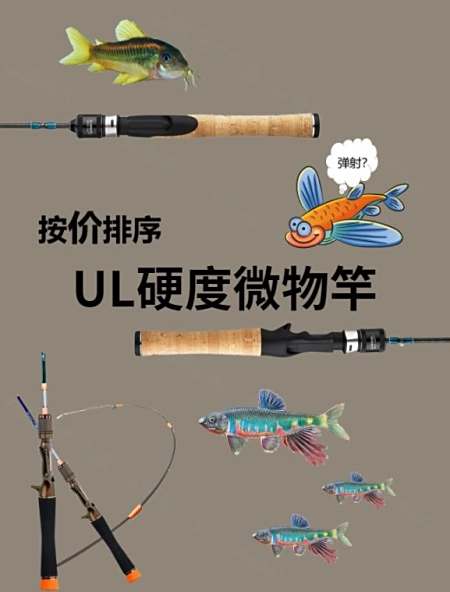 江河路亚硬度(江河用路亚一般钓什么鱼)
