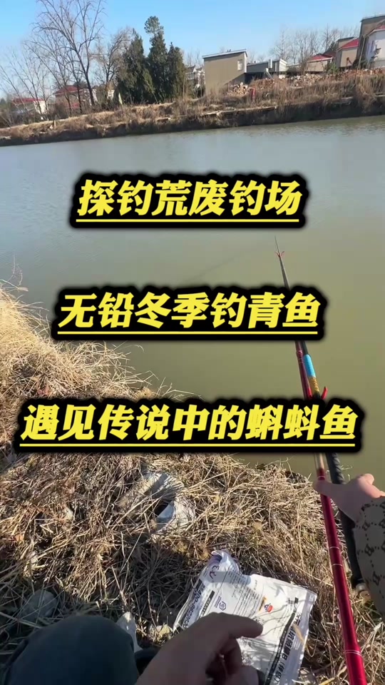 早晨钓青技巧(早上钓青鱼钓底还是钓浮)