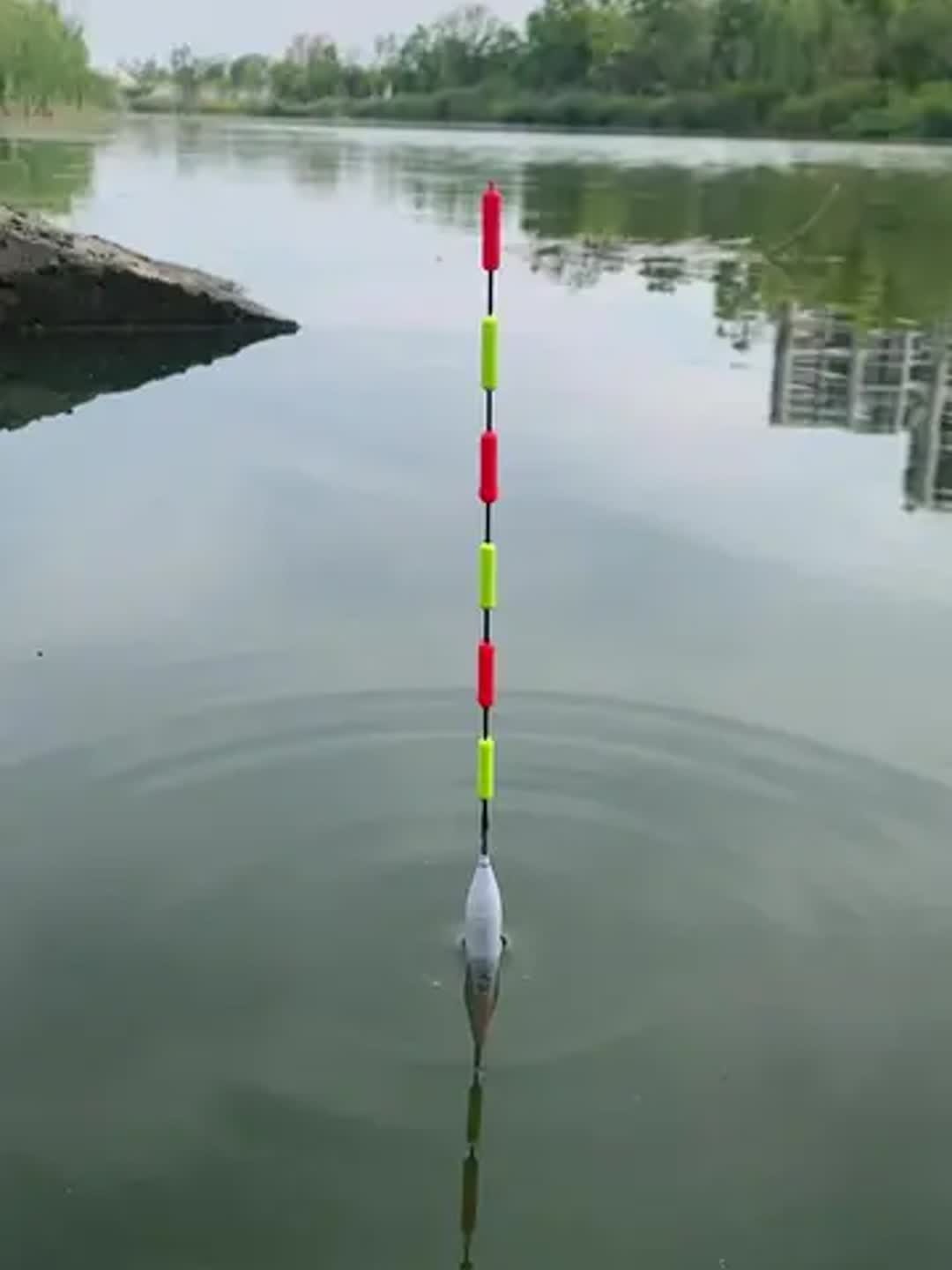 湖泊深水晚秋钓青鱼技巧(深秋钓青鱼钓底还是钓浮)