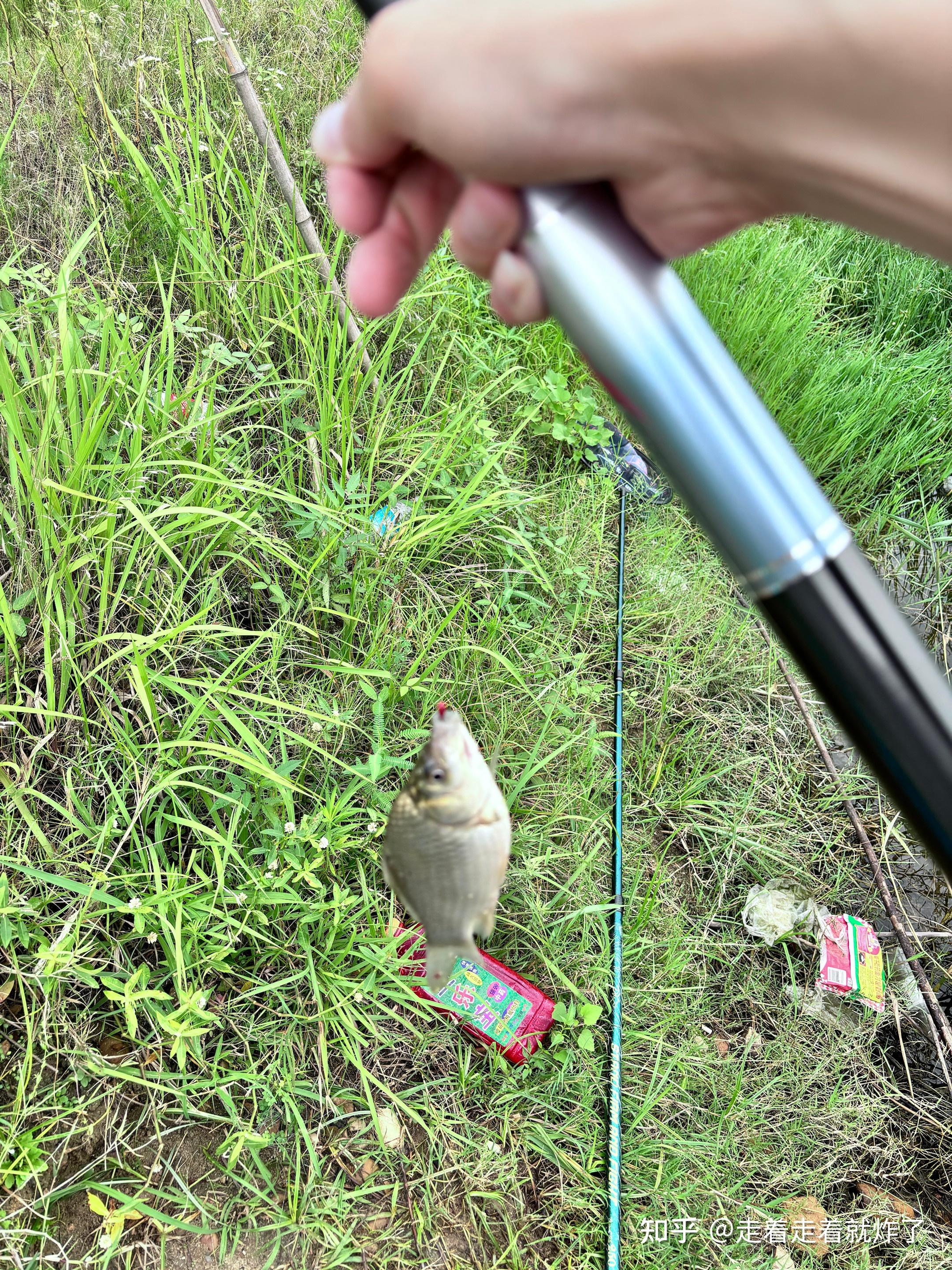 手竿野河钓鲫鱼技巧(手竿钓鲫鱼用什么饵料最好)