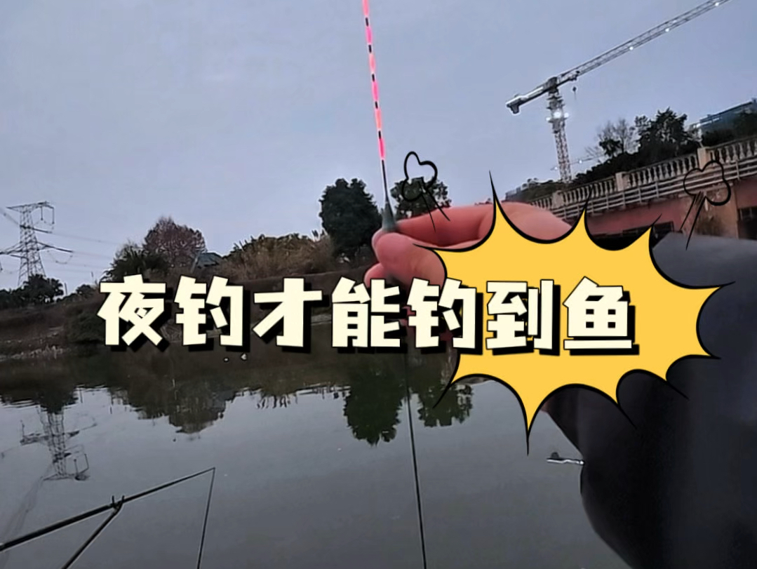 夏天夜钓鲫鱼技巧(夏天夜钓鲫鱼技巧图解)