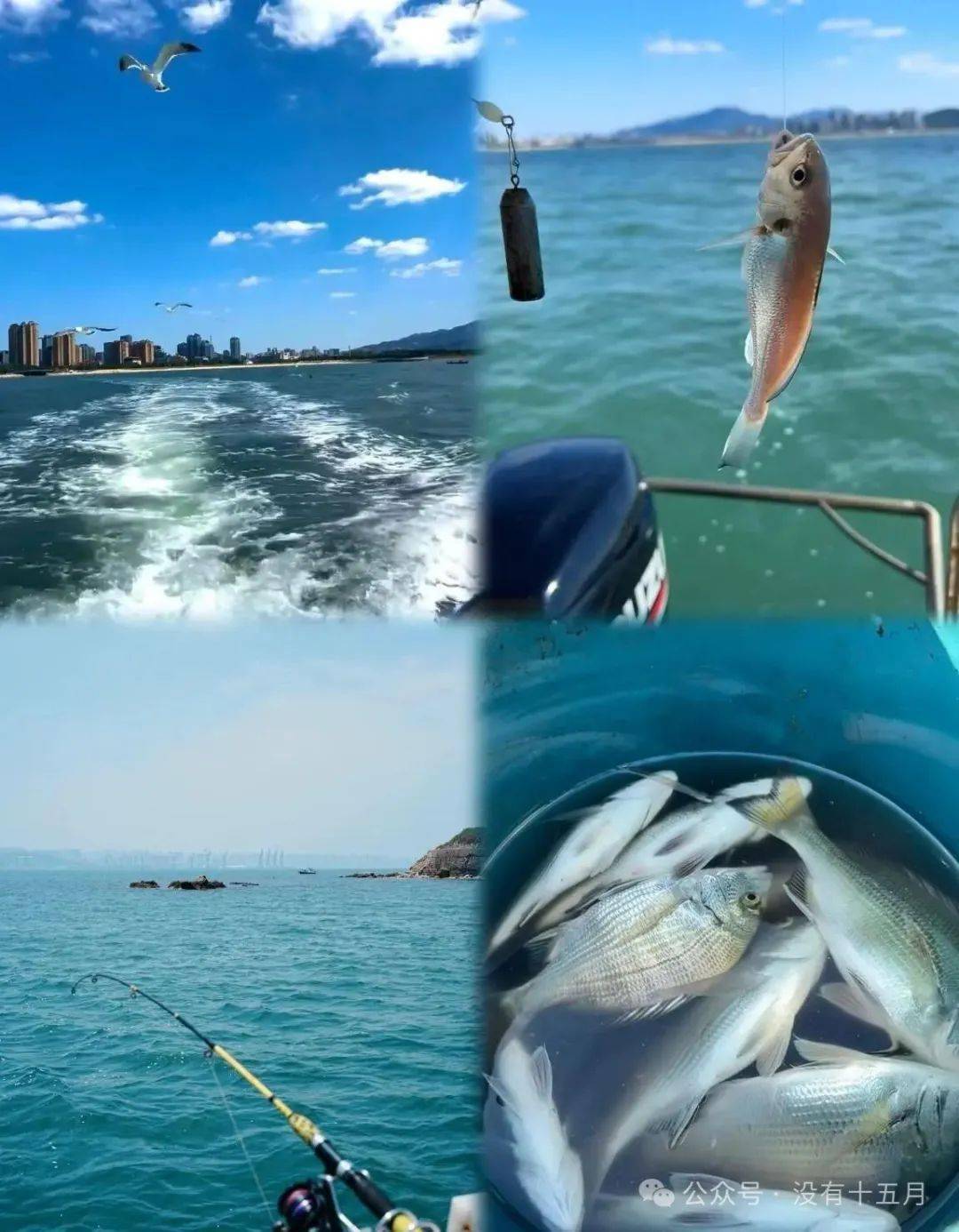 海钓怎么找鱼最好(海钓窍门)