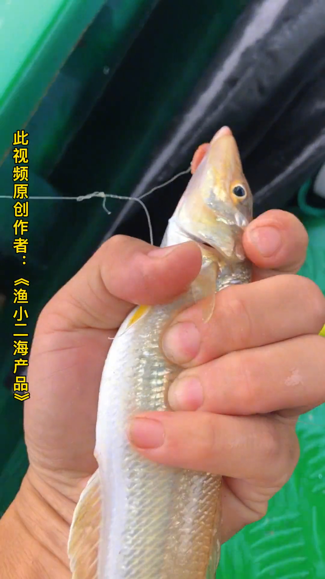 海钓沙尖鱼季节(沙尖鱼什么时候合适钓)