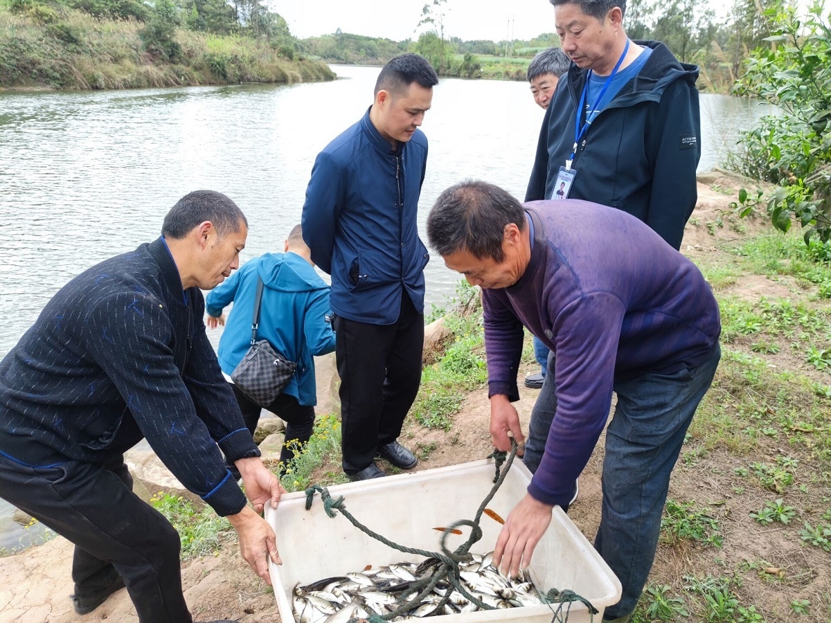 自贡荣县卖渔具(四川得荣县十大旅游景点)