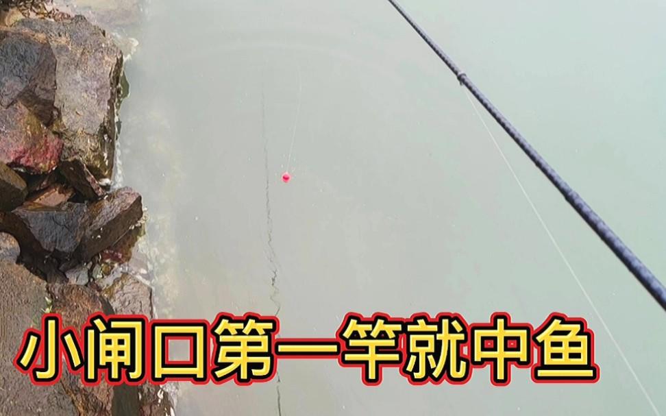 江河闸口钓鱼技巧(小河闸口处好钓鱼吗)