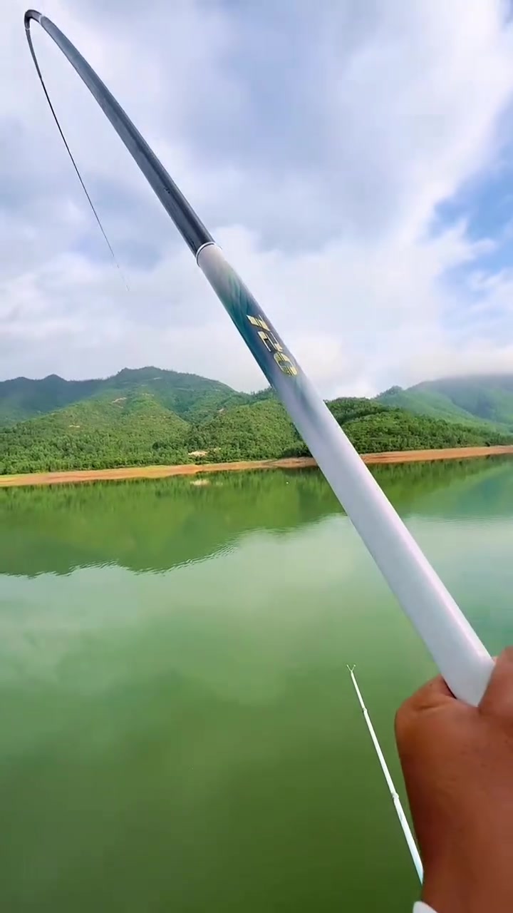 大水库钓草鱼技巧(水库野钓草鱼十技巧)