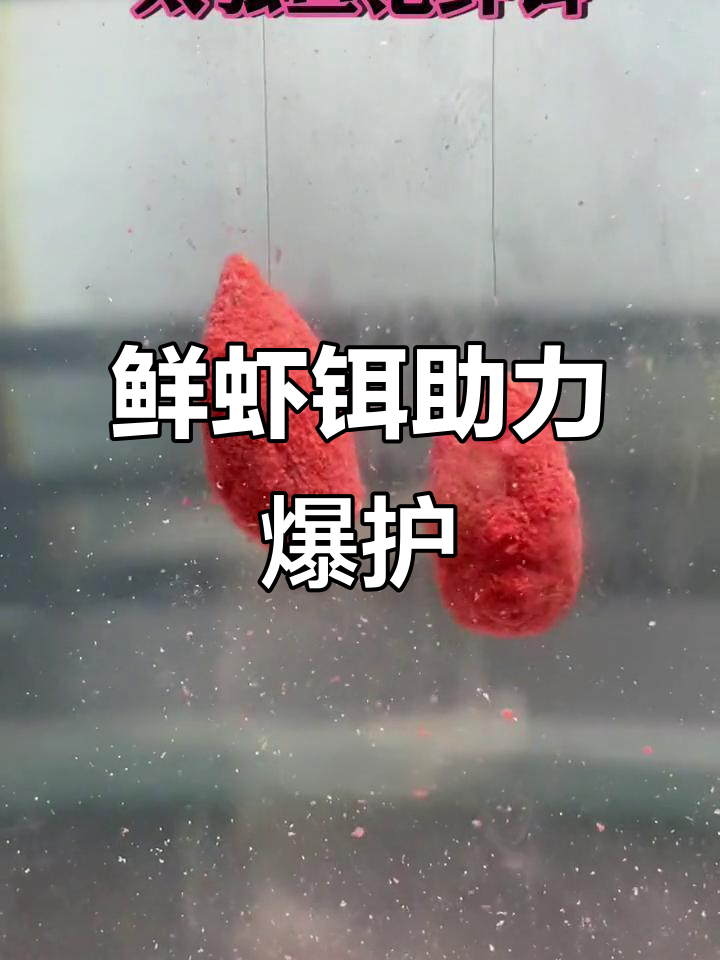 冬天虾吃什么饵料(冬天虾吃什么饵料最好)