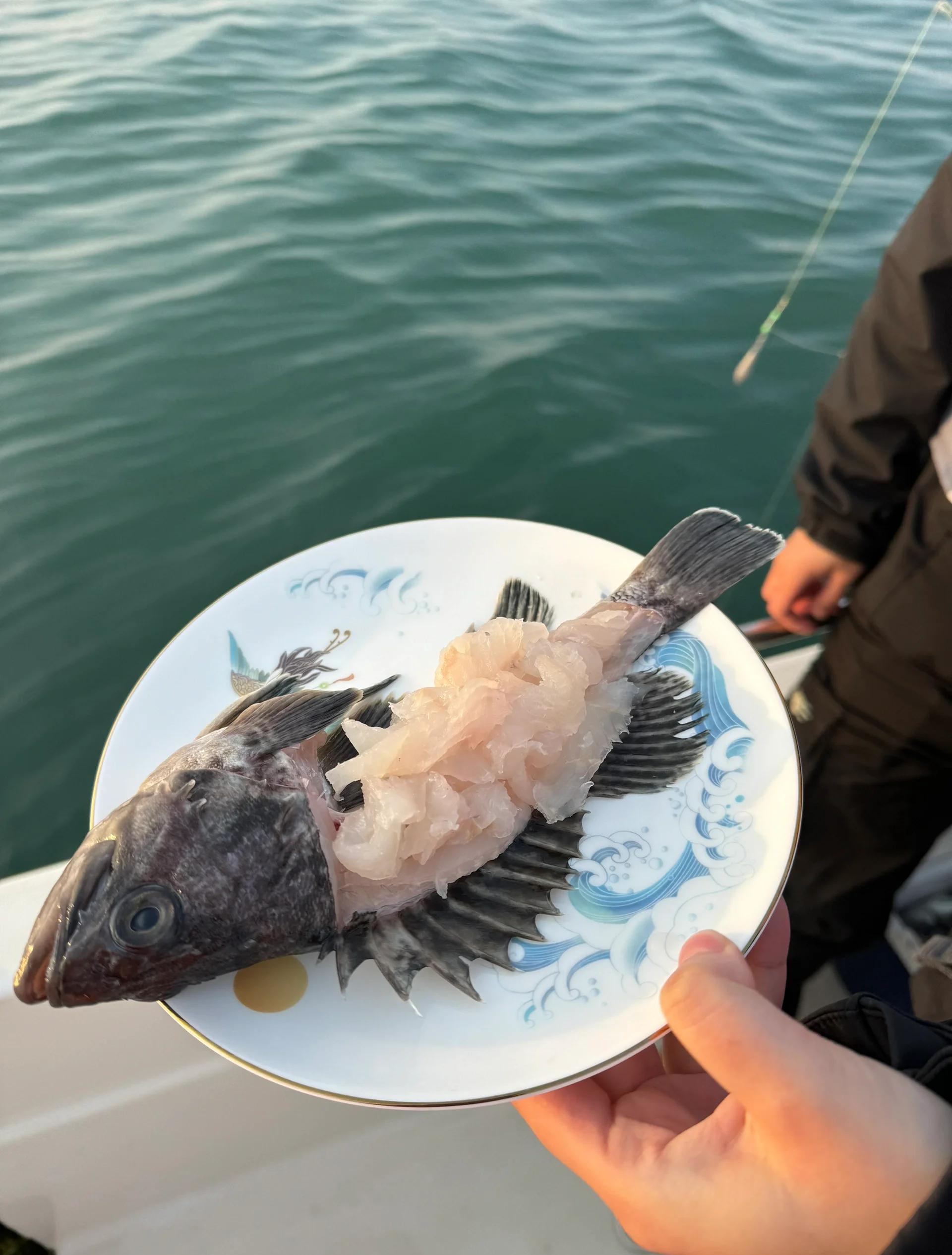 威海海钓岸钓地点(威海海钓哪里鱼多)