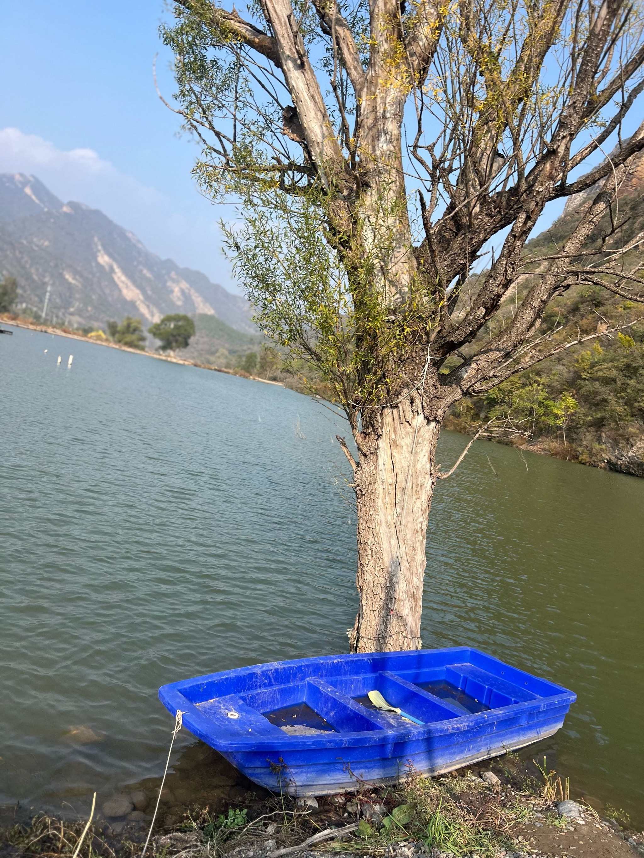 泰州路亚地方(泰州哪里有路亚的地方)