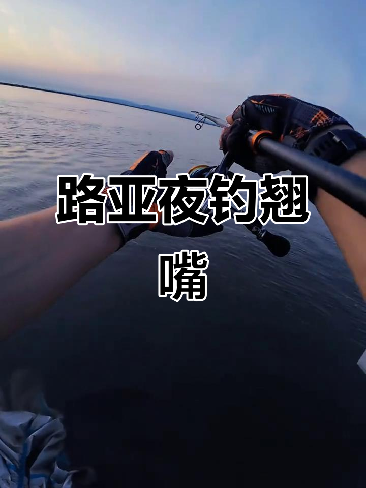 夜钓路亚翘嘴(夜钓路亚翘嘴鱼钓法技巧和用饵技巧)