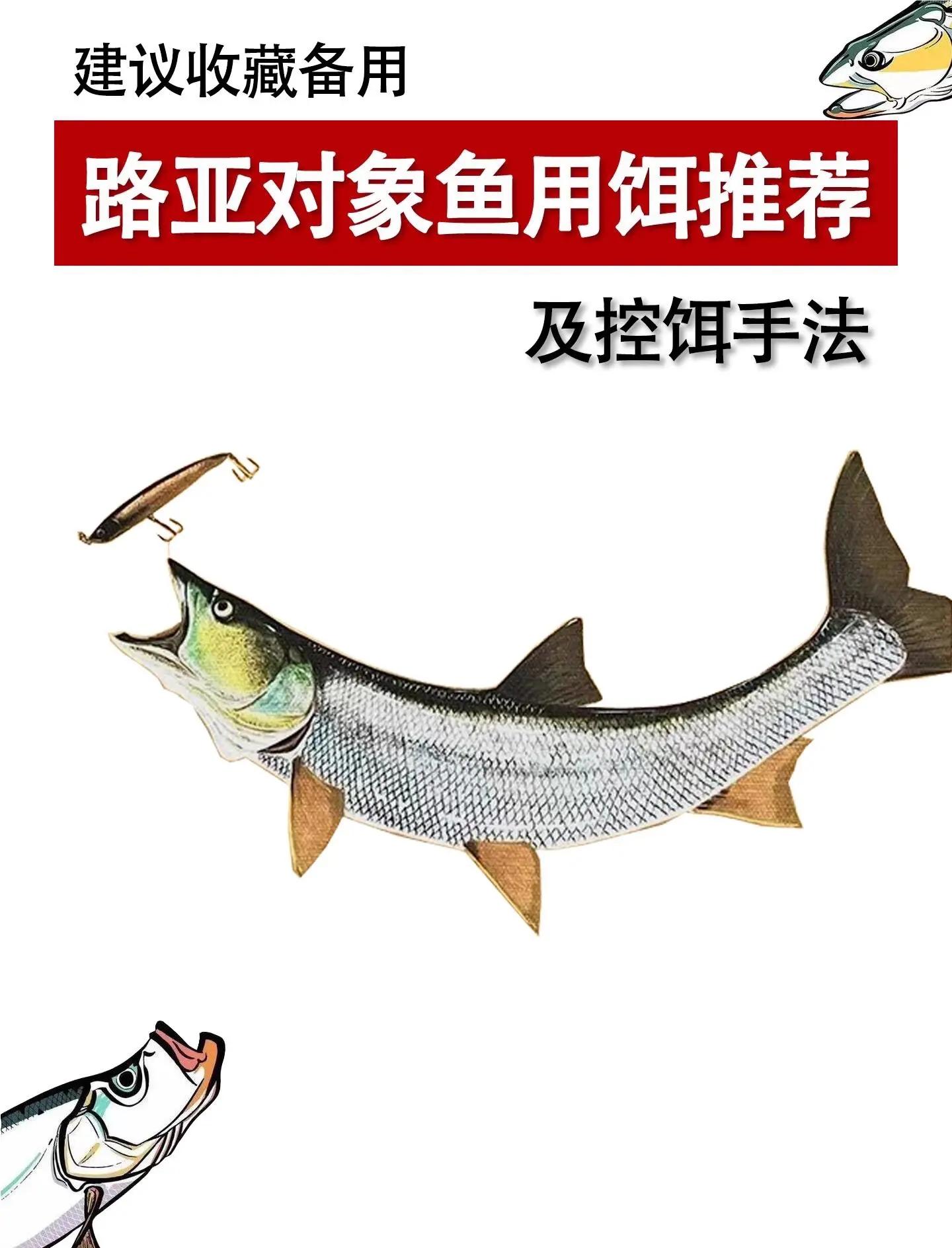 路亚竿鱼饵绑法(路亚竿饵的绑法)
