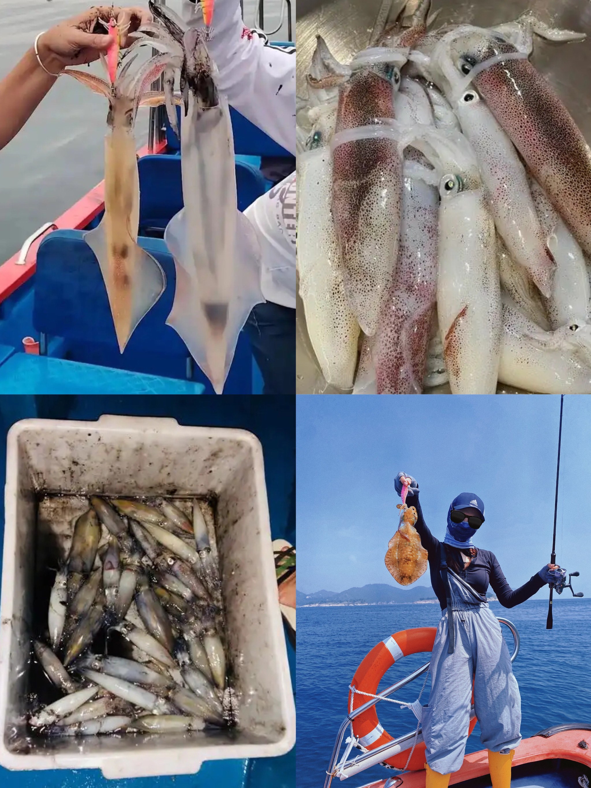 海钓手丝(海钓手丝钓组图解)
