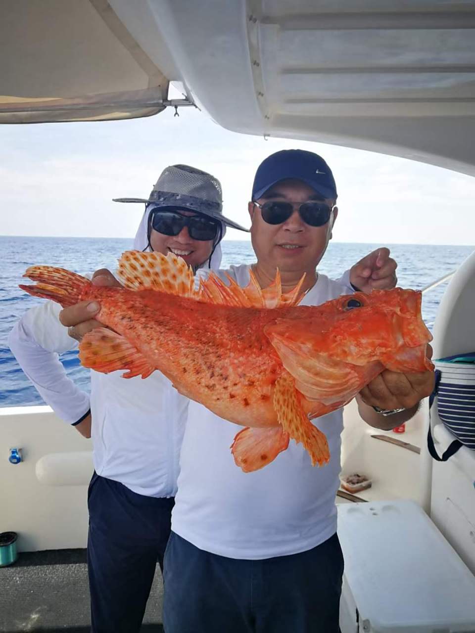 海钓信息素(信息素诱鱼剂原理)