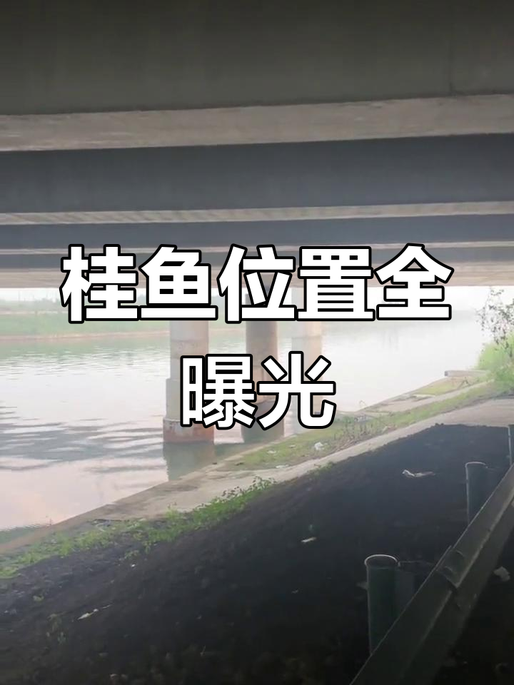 路亚钓点广西(广西 路亚)