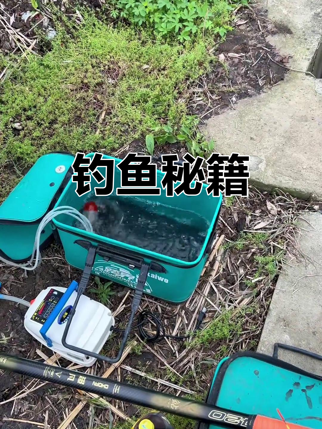 野河夏天钓鱼技巧(夏天野钓河流技巧)