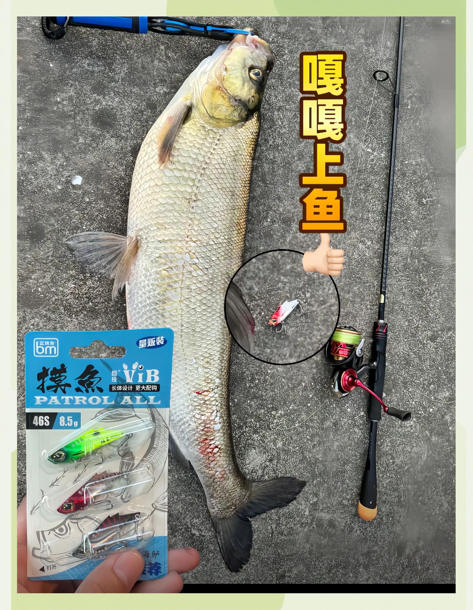 路亚vib饵(vib路亚饵种类)