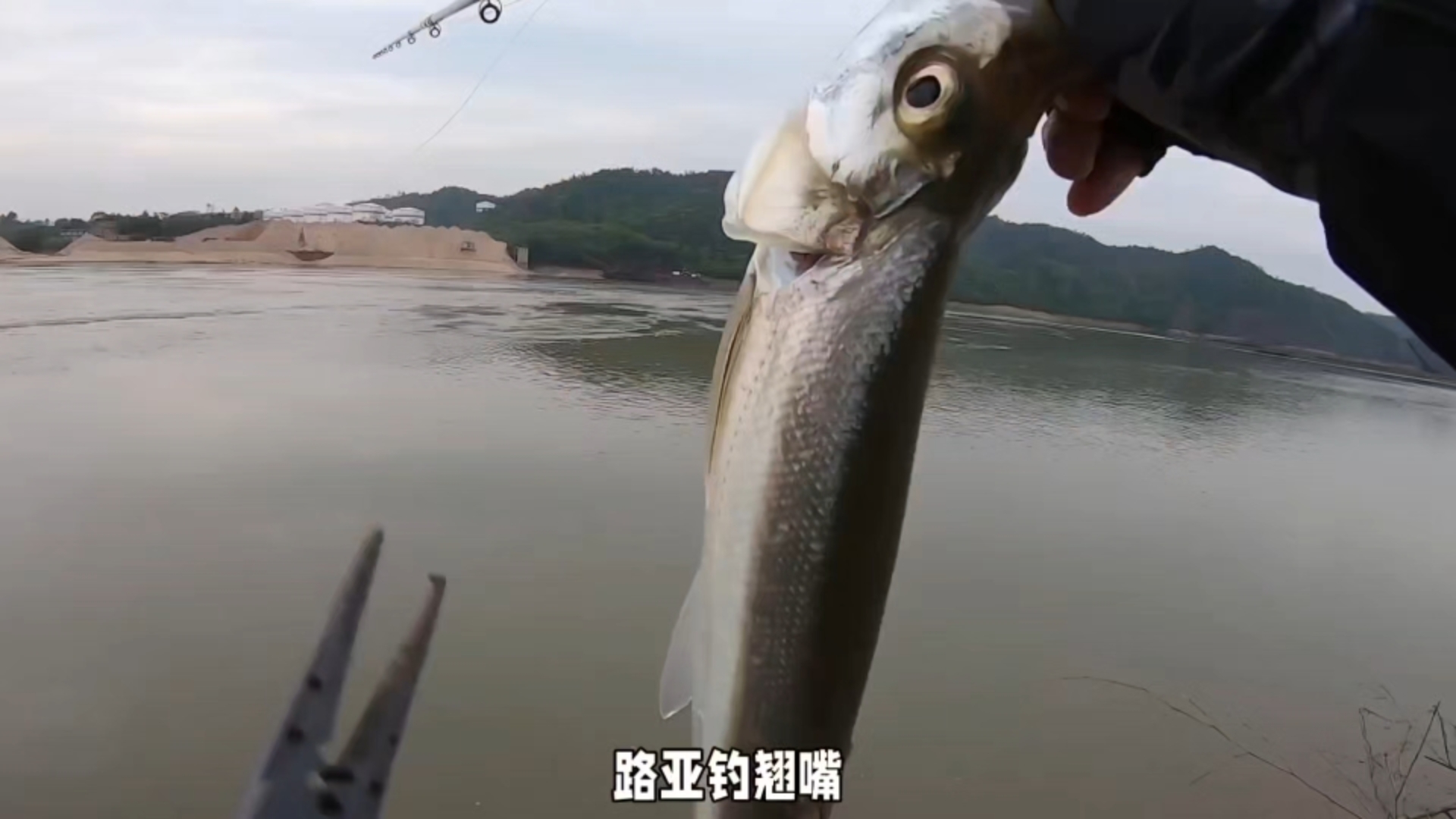 路亚水急(路亚 水域)