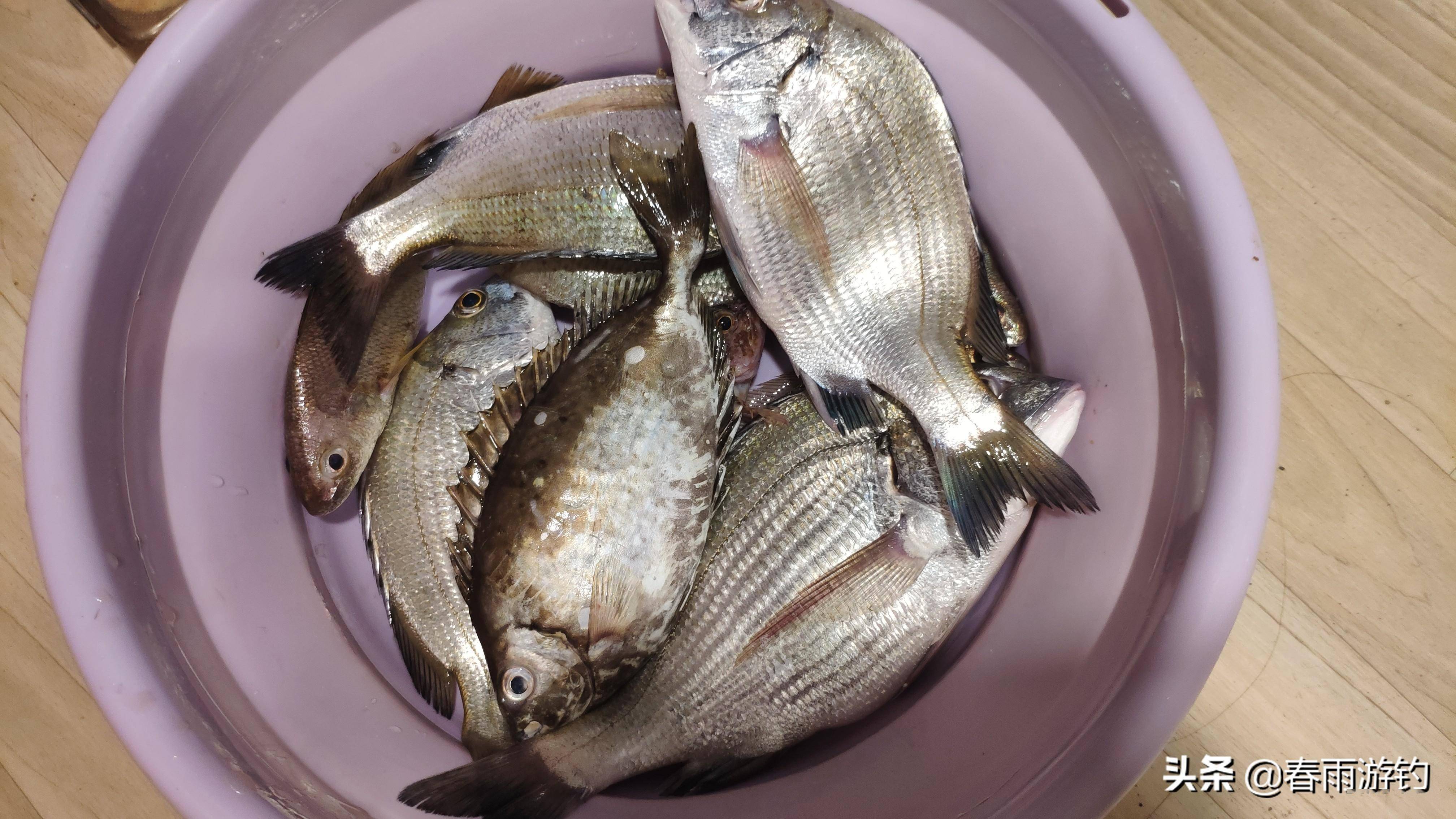 海钓诗句(海钓的诗句)