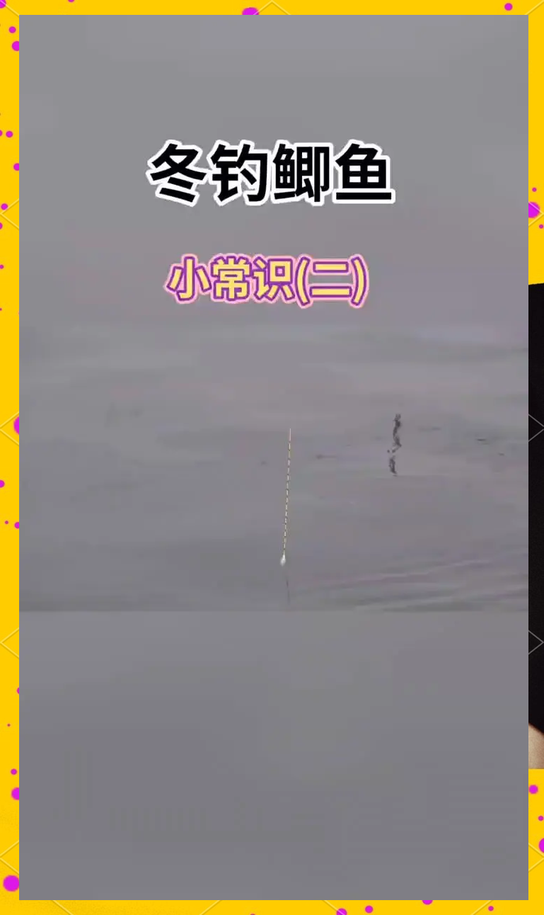 伐杆打红虫钓鲫鱼技巧(红虫钓鱼打窝)
