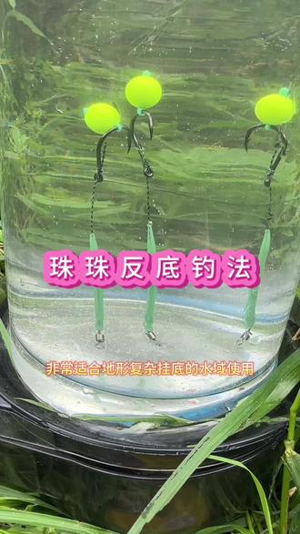 逗珠珠钓鱼技巧(珠珠钓鱼视频教程)