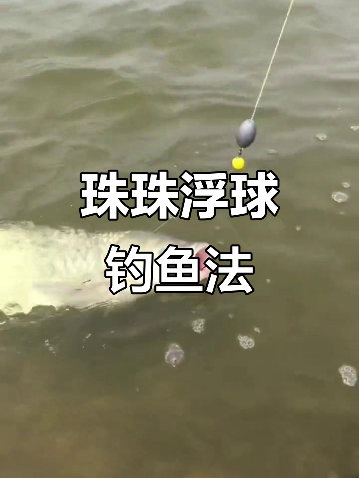 逗珠珠钓鱼技巧(珠珠钓鱼视频教程)