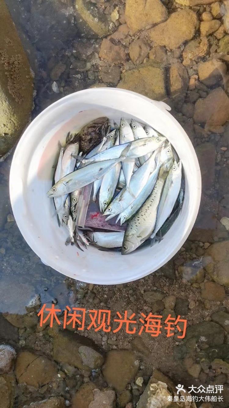 三月份海钓(三月份海钓石斑几月最佳)