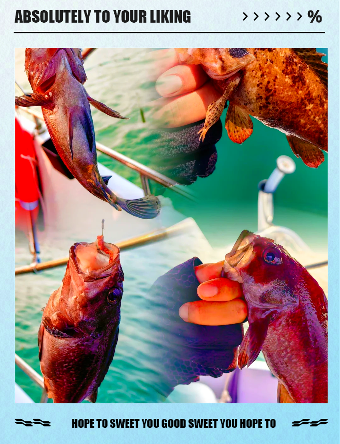 海钓海上体验(海上钓鱼技巧大全)