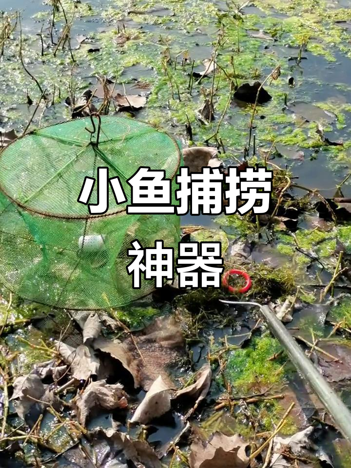 自制饵料躲避小鱼(用自己做诱饵)