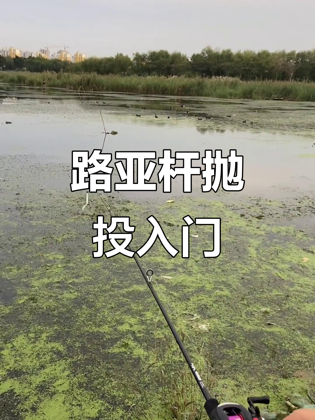 怎么抛投路亚(怎么抛路亚视频教程)