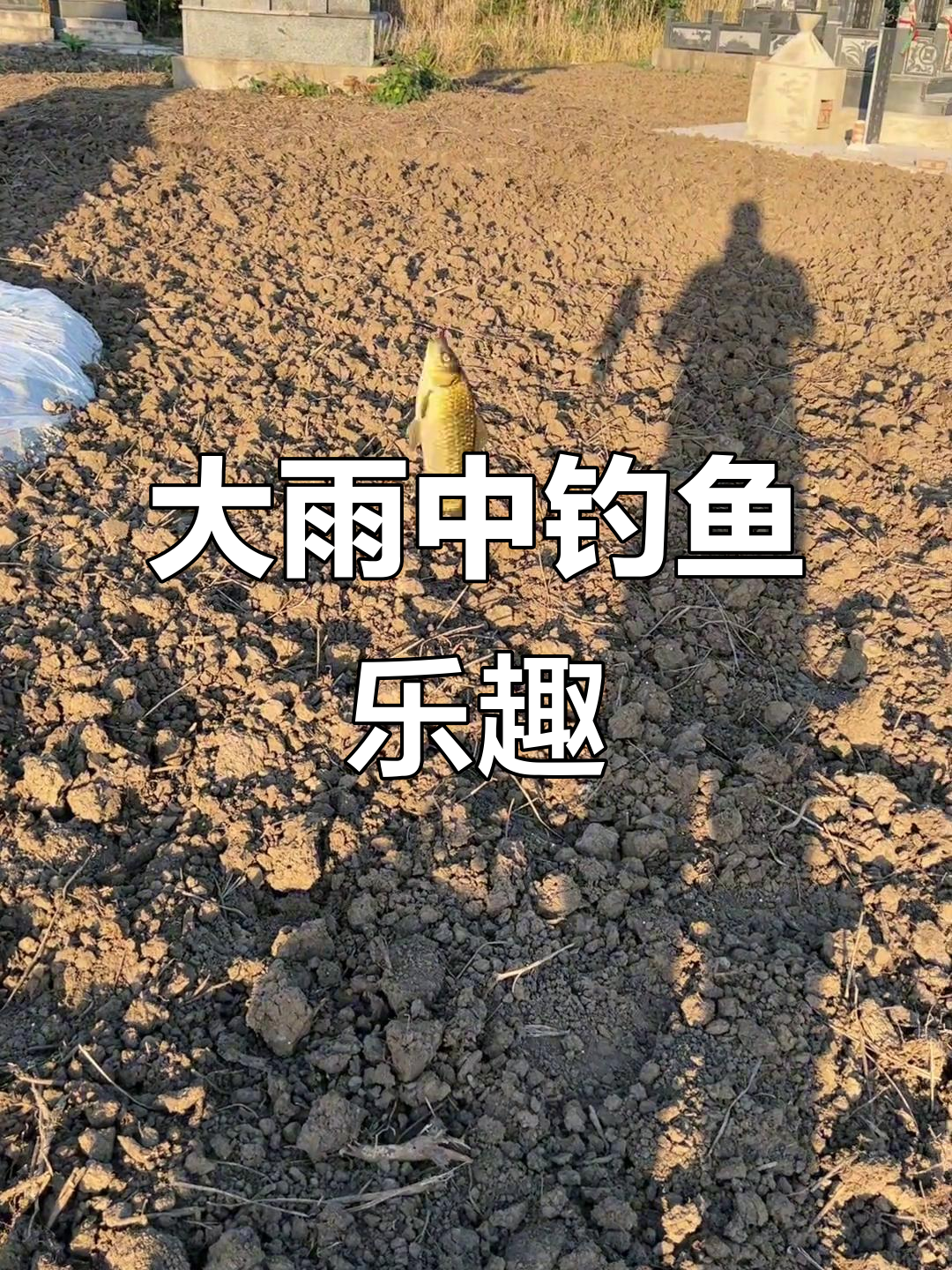 下雨后鲫鱼技巧(下雨后鲫鱼好钓吗)