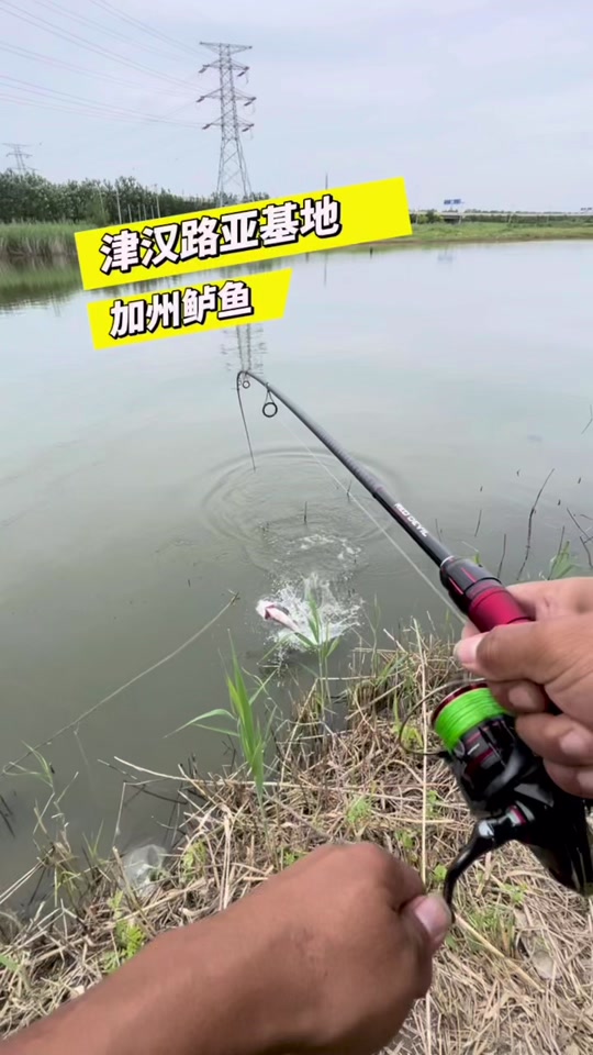 天津在哪路亚(天津哪里有路亚基地)