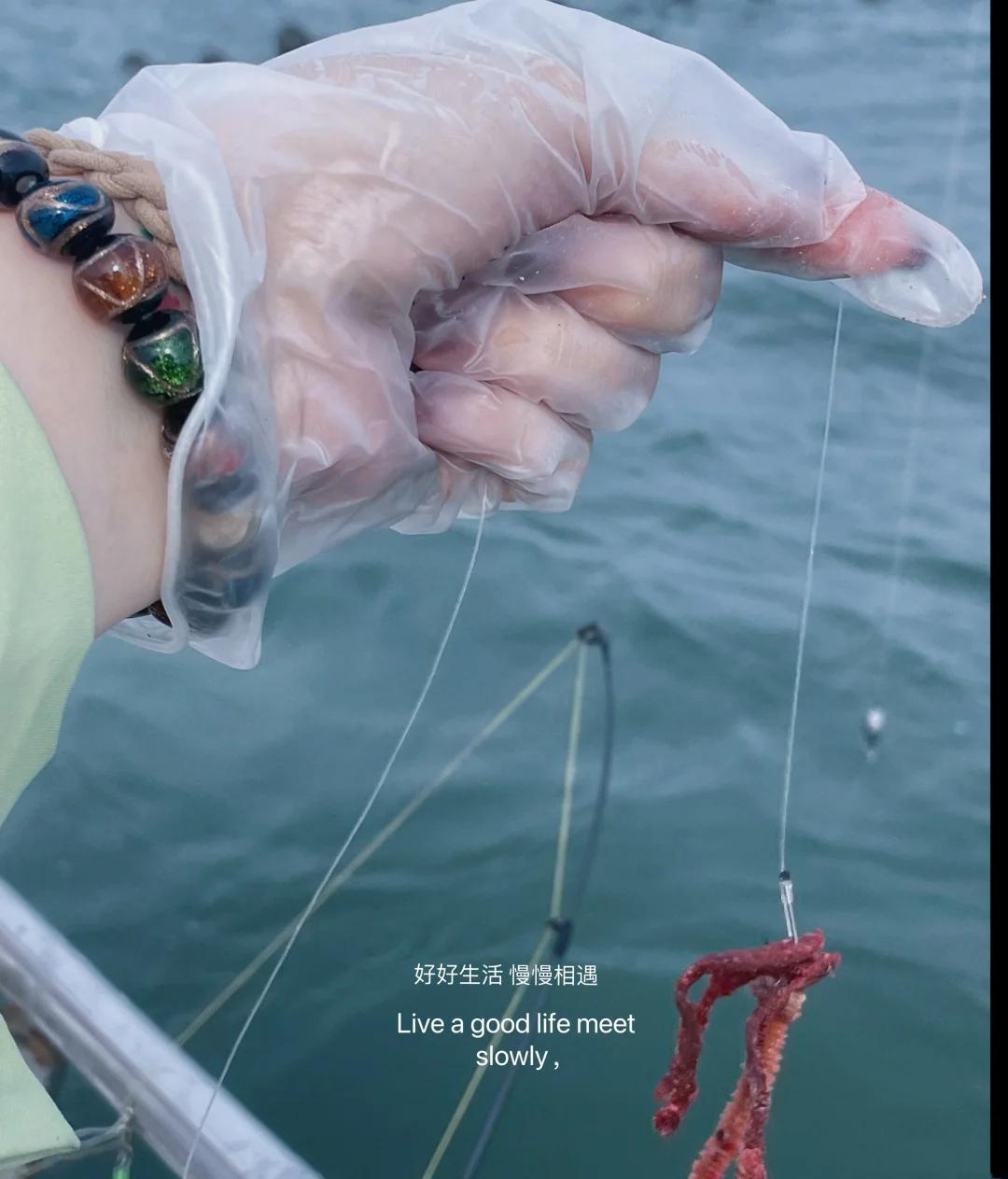 龙口市海钓场(龙口市唯一的海岛村庄)