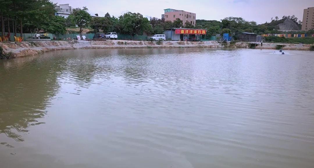 东莞哪里有海钓场(东莞附近有海边渔村)