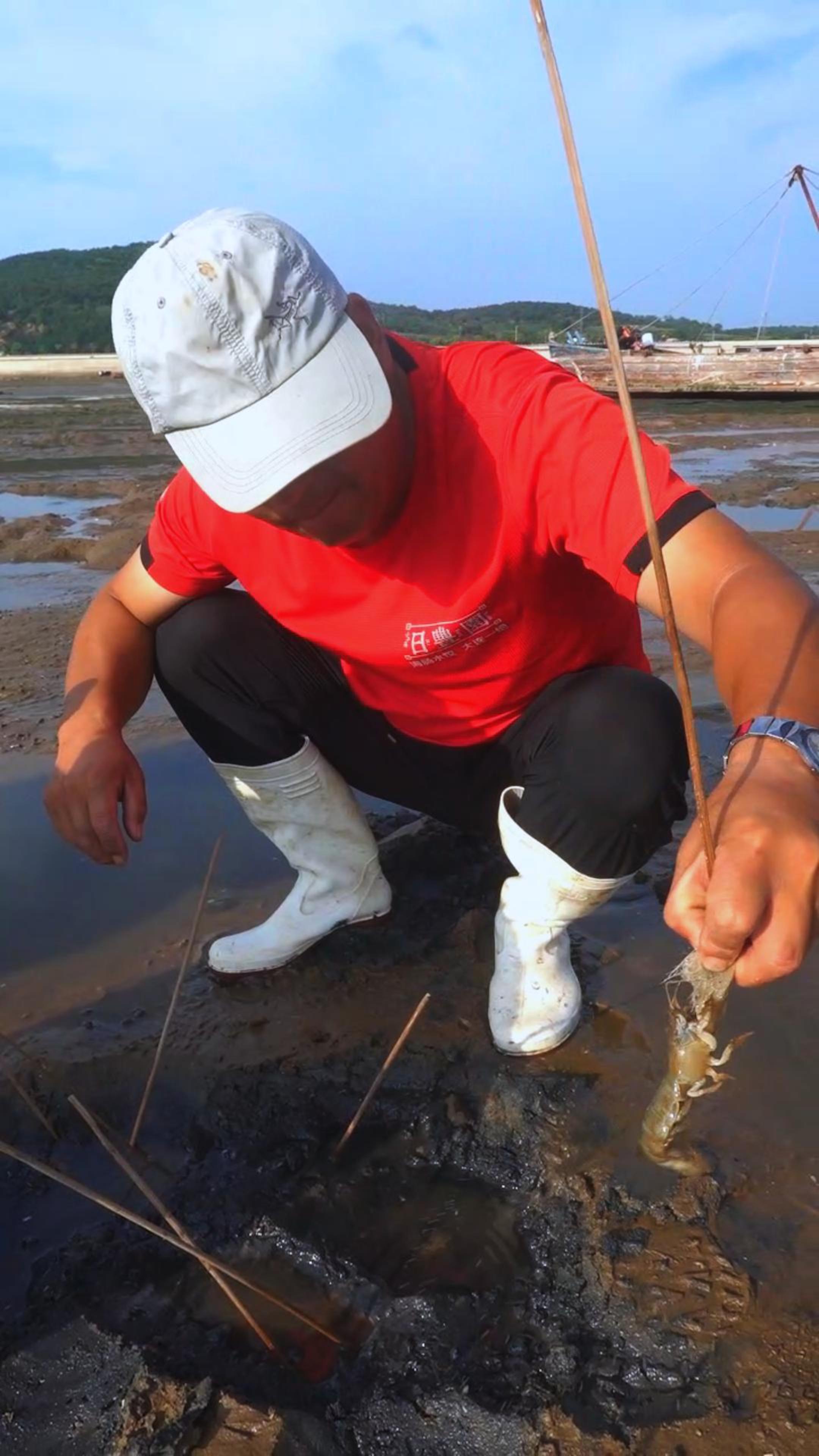 钓泸沽虾技巧(钓泸沽虾技巧窍门)