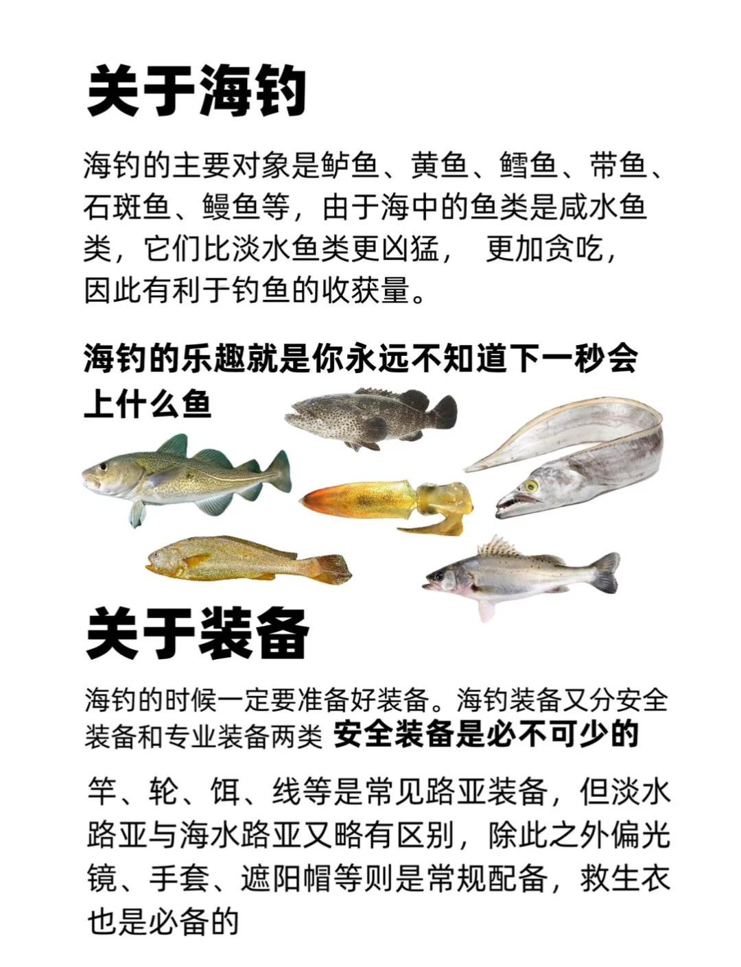 路亚海钓法(路亚海钓钓组图解)