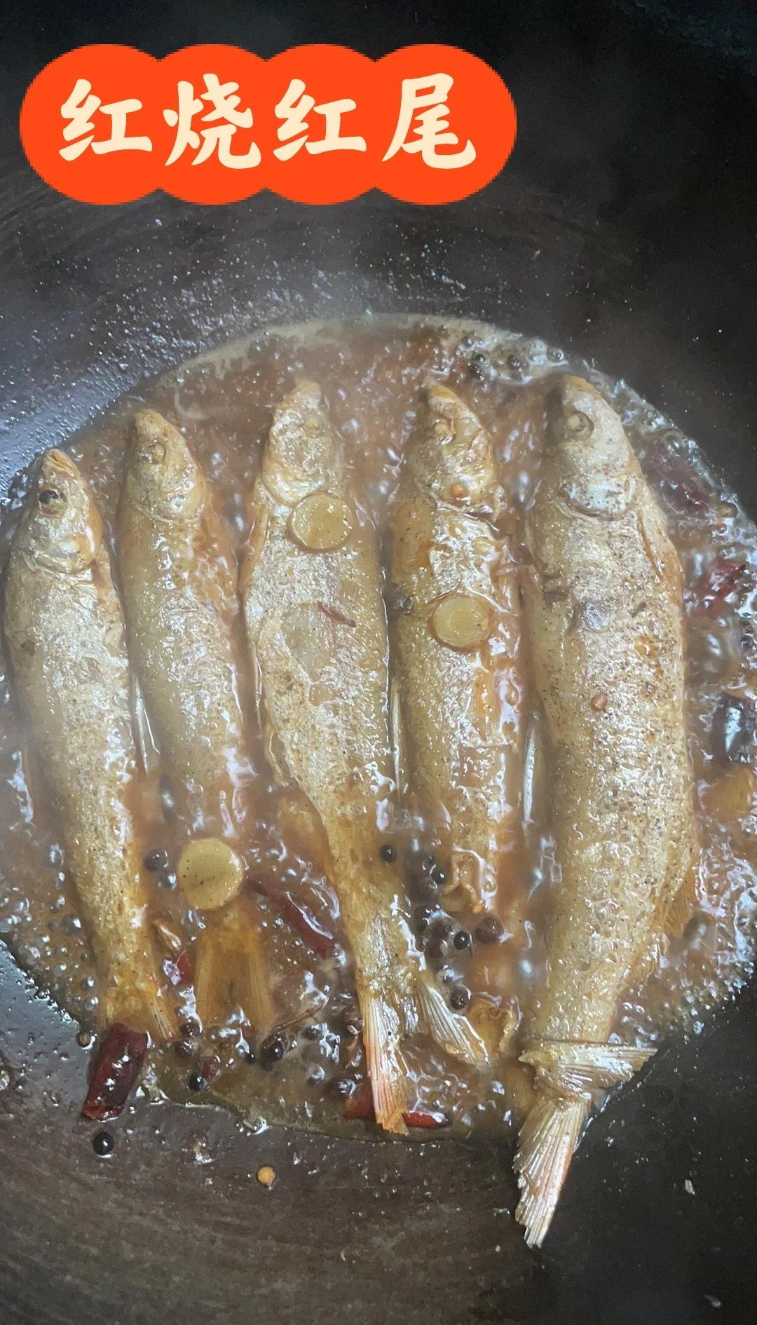 春季钓红尾鱼技巧(春季红尾鱼怎么钓)