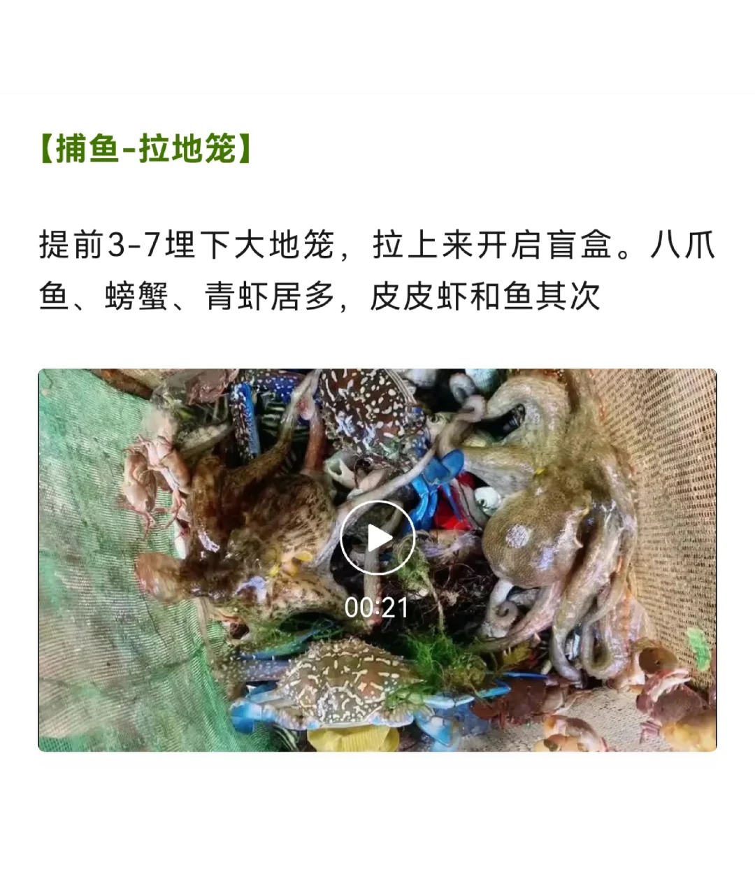 海钓串钓法捕鱼(海钓必备的10种钓法)