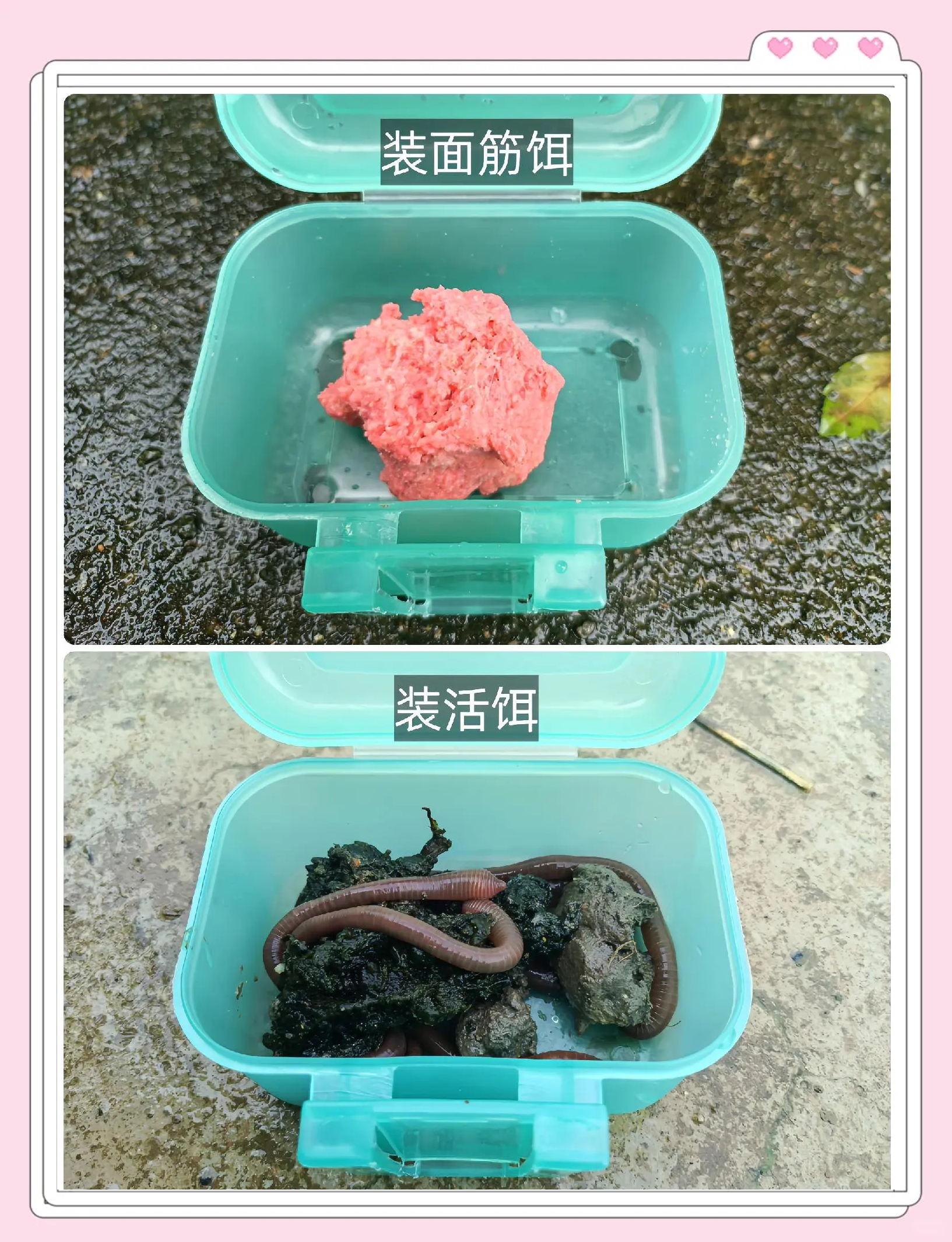 钓鱼饵料盒(钓鱼装饵料的三个小盒子)