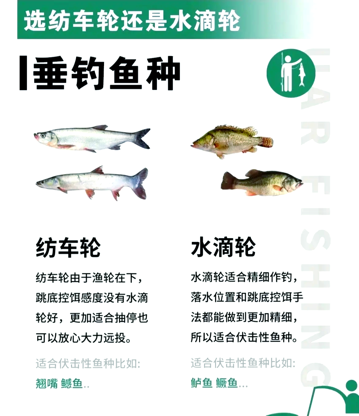 纺车轮刺鱼技巧(纺车轮怎么缠鱼线)