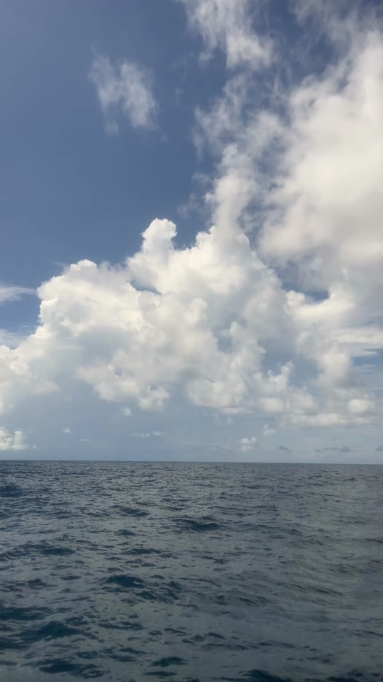 打雷海钓(海上打雷会电到鱼吗)