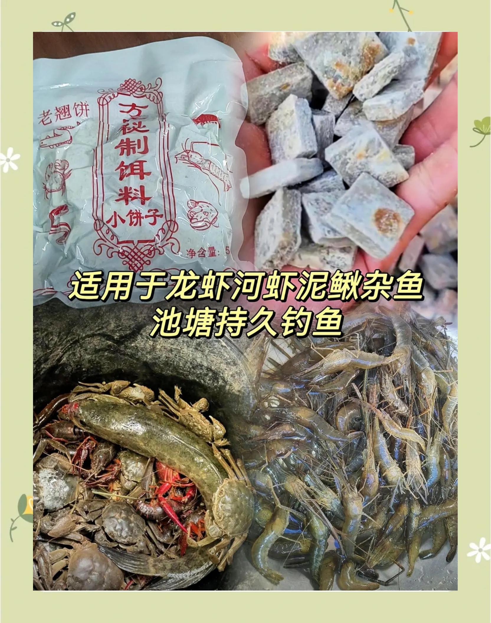 捕捉河虾用什么饵料(捕河虾用什么药最好的)