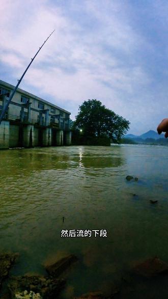 水闸口路亚(水闸路亚用什么饵)